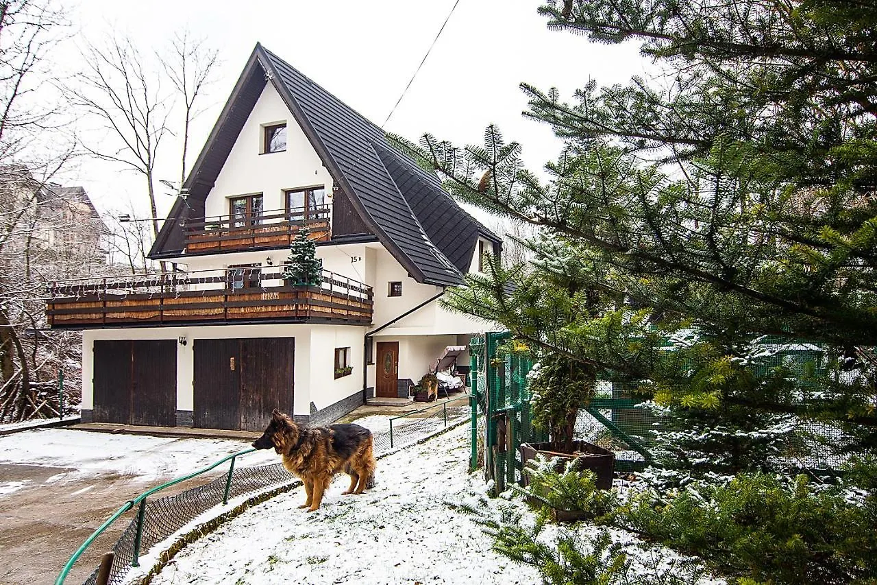 Apartamenty W Centrum - Zakopane